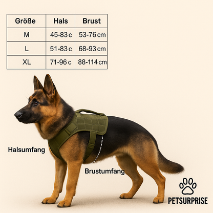 Hundegeschirr und Leine Set – 2-teilig