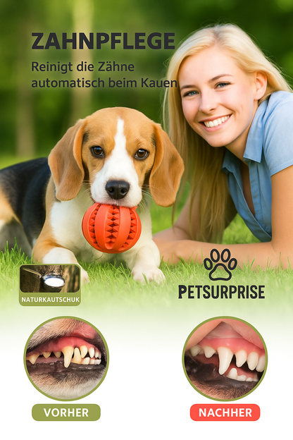 Interaktiver Hundeball aus Gummi – Für alle Rassen