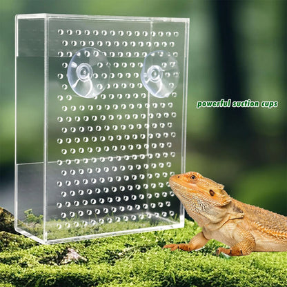 Acryl Reptilien-Futterbox – Wandmontierter Futterspender mit Saugnäpfen für Geckos, Echsen & Bartagamen