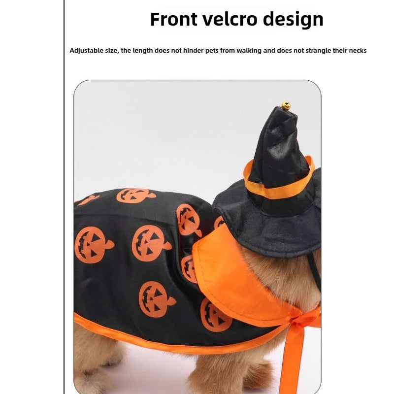 🎃🐶 Halloween-Umhang mit Hut für Hunde – Kürbis-Kostüm für kleine & mittelgroße Hunde