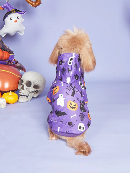🎃🐕 Halloween Hundekostüm – Warmer Hoodie für kleine Hunde wie Französische Bulldogge, Mops & Terrier