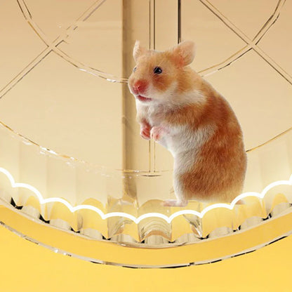 Hamsterrad mit Standfuß – Transparent, rutschfest & leicht zu reinigen | Trainings- & Spielrad für Hamsterkäfig