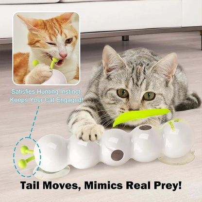 Interaktives Katzen-Spielzeug „Raupe“ – USB-Aufladung, Bewegungssensor, mit Saugnapf & Schwanz