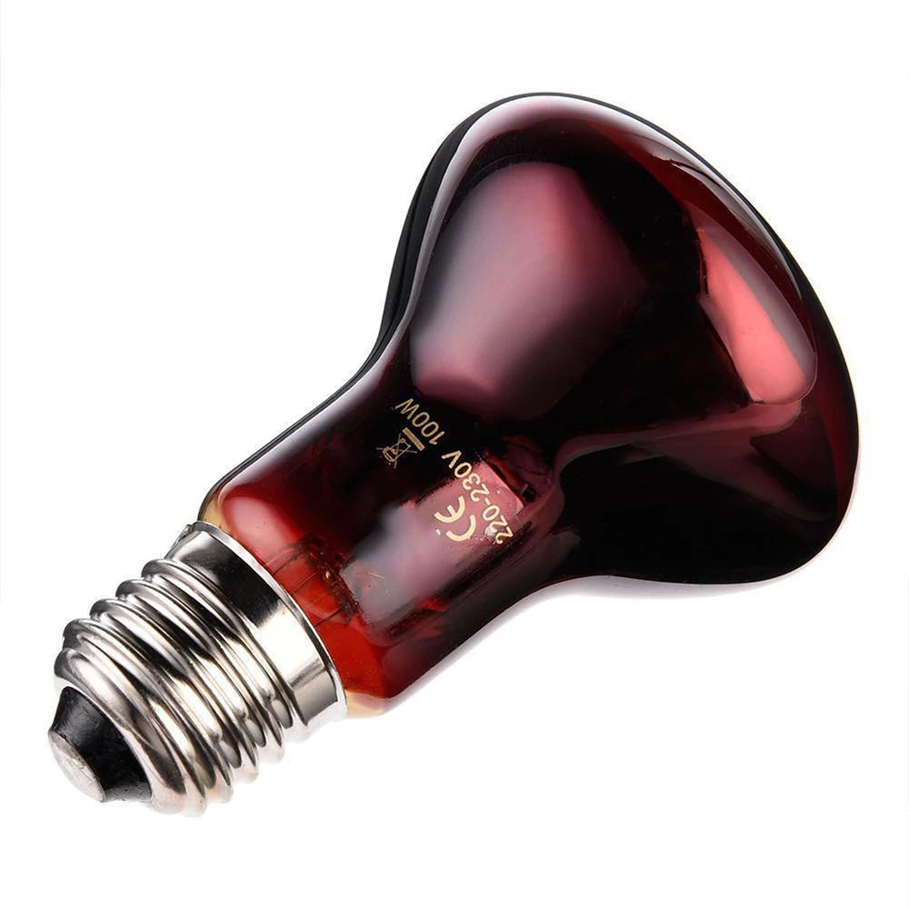 3er-Set Infrarot-Heizlampen E27 (25W–100W) – Wärmelampe für Geflügel, Reptilien & Amphibien