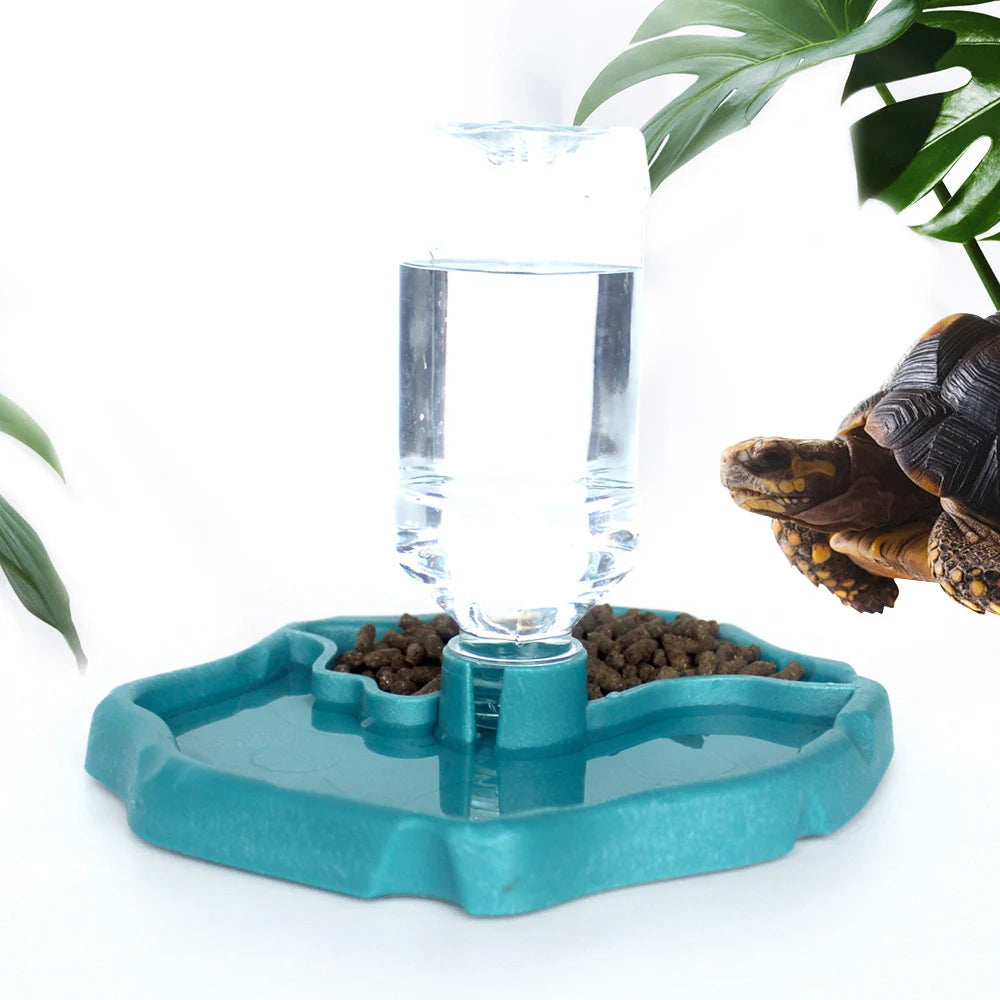 Reptilien-Futternapf – Futter- & Wasserschale für Schildkröten, Echsen & Amphibien | Leicht zu reinigen