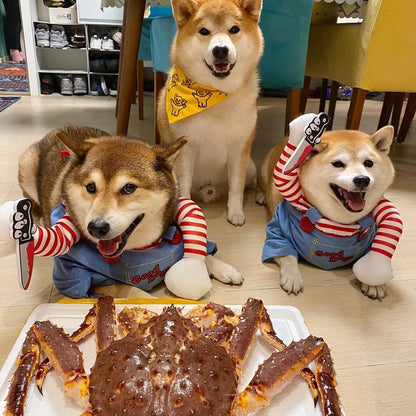 🎃🐶 Halloween Hunde-Kostüm – Cosplay Kleid für kleine & mittelgroße Hunde