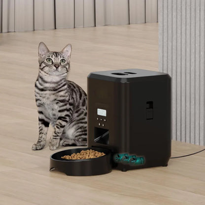 🐾 Automatischer Futterspender für Katzen – Mit LCD-Display & Zeitsteuerung, 50–100g Portionen