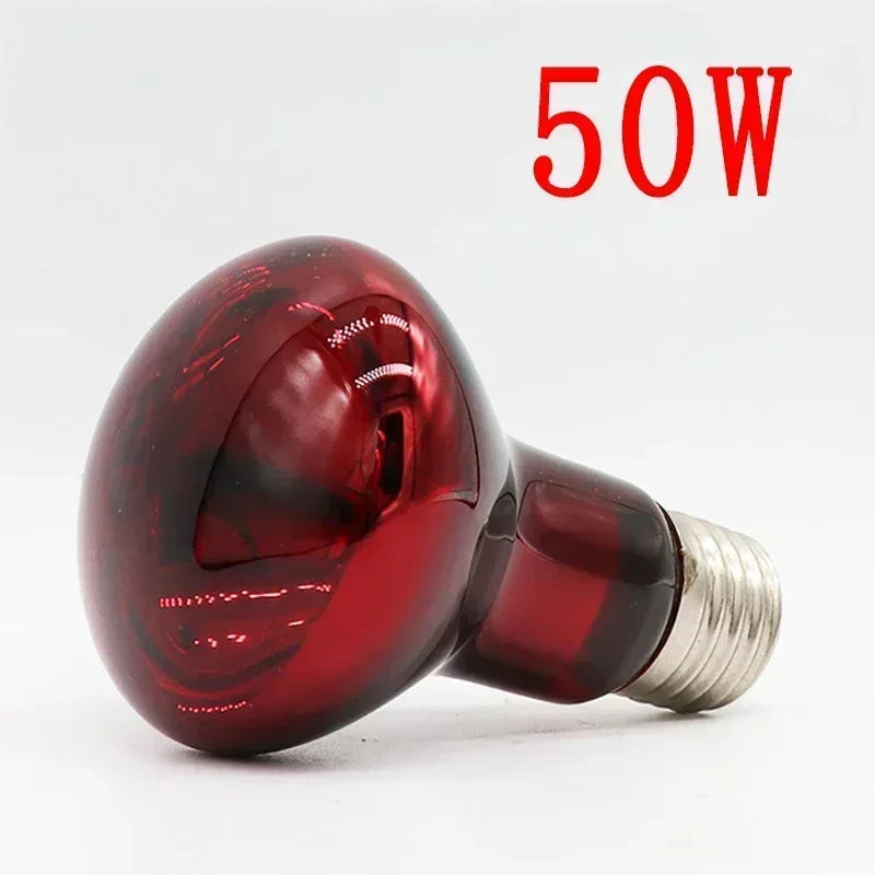 3er-Set Infrarot-Heizlampen E27 (25W–100W) – Wärmelampe für Geflügel, Reptilien & Amphibien