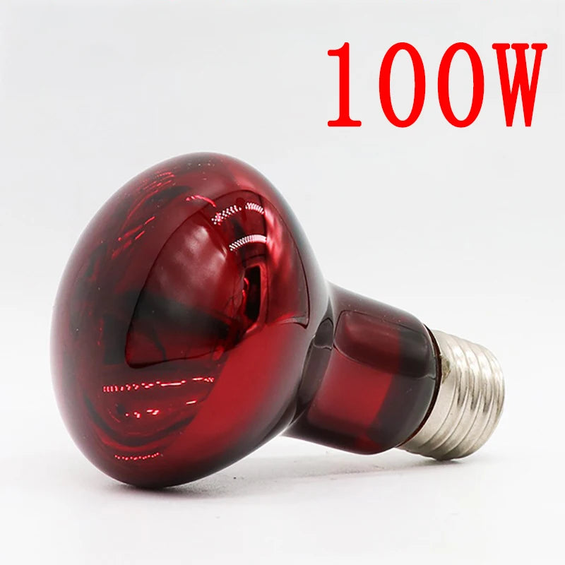 3er-Set Infrarot-Heizlampen E27 (25W–100W) – Wärmelampe für Geflügel, Reptilien & Amphibien