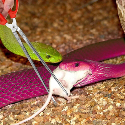 Reptilien-Fütterungspinzette – Extra Lange Pinzette (28cm / 38cm) aus Edelstahl für Schlangen, Bartagamen & Terrarien