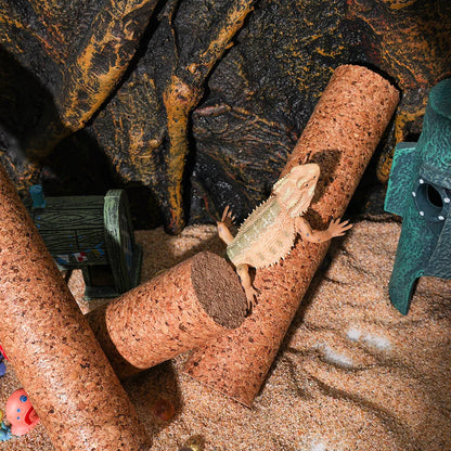 Kork-Kletterstamm für Reptilien – Natürlicher Kletterstock für Echsen, Geckos & Kleintiere
