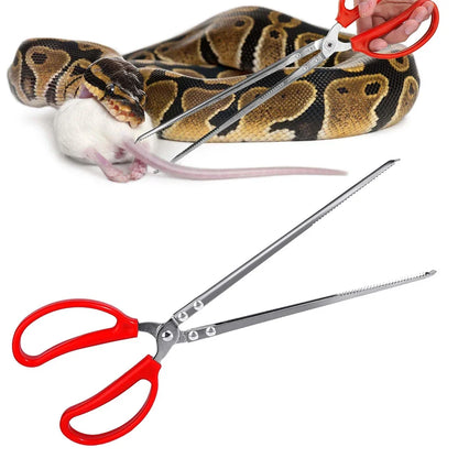 Reptilien-Fütterungspinzette – Extra Lange Pinzette (28cm / 38cm) aus Edelstahl für Schlangen, Bartagamen & Terrarien