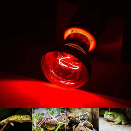 3er-Set Infrarot-Heizlampen E27 (25W–100W) – Wärmelampe für Geflügel, Reptilien & Amphibien