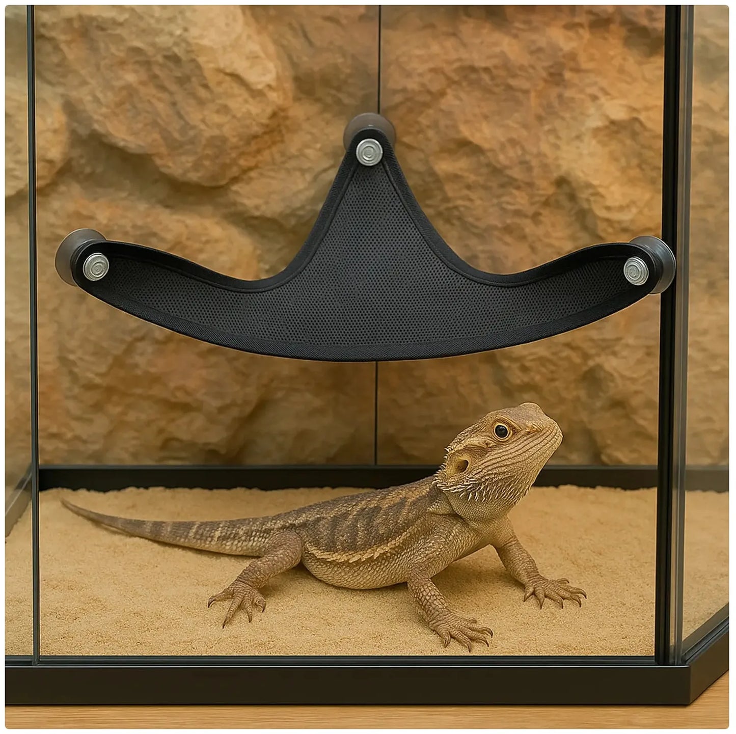 Reptilien-Hängematte – Atmungsaktive Netzschaukel für Echsen, Geckos & Terrarien | Sommer-Kletterhammock