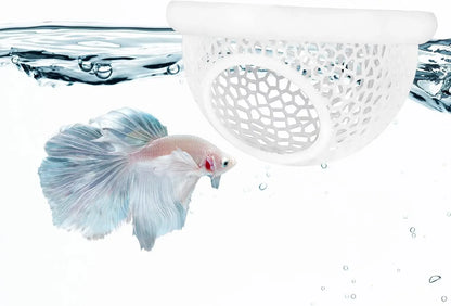 Aquarium Schwimmhöhle 3-in-1 – Betta & Garnelen Versteck, Futterring & Ruheplatz | Schwimmende Dekoration