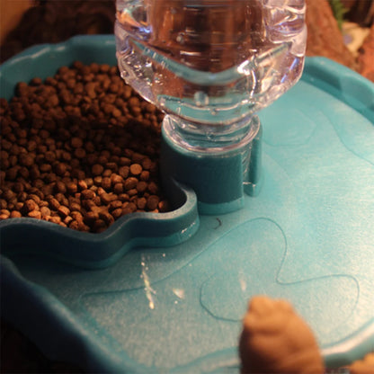 Reptilien-Futternapf – Futter- & Wasserschale für Schildkröten, Echsen & Amphibien | Leicht zu reinigen