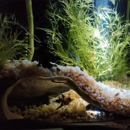 3D-gedruckte Aquarium-Höhle aus PETG – Unterwasser-Versteck für Fische, Garnelen & Reptilien | Dekoration & Unterschlupf
