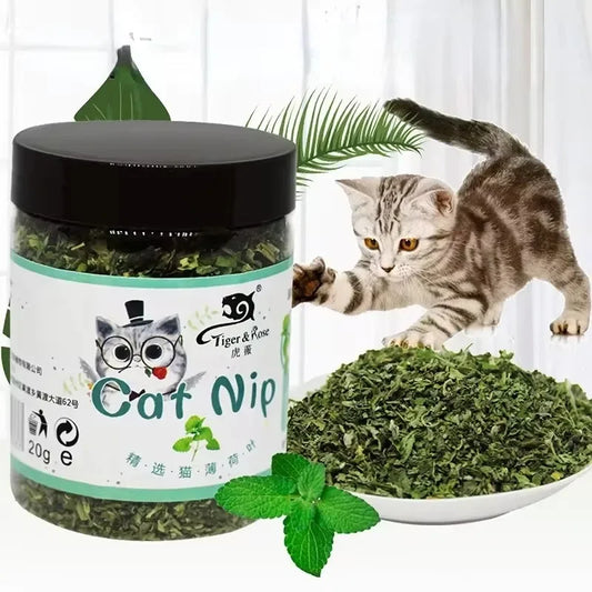 🌿 Organisches Katzenminze-Spielzeug – 100% Natürlich, Hochwertig & Interaktiver Spielspaß für Katzen