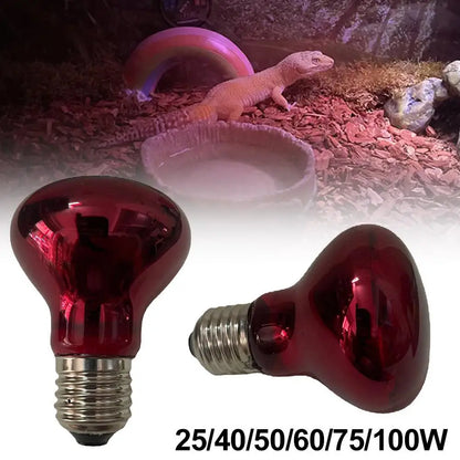 3er-Set Infrarot-Heizlampen E27 (25W–100W) – Wärmelampe für Geflügel, Reptilien & Amphibien