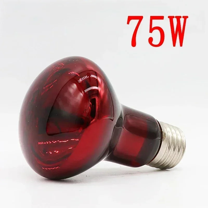 3er-Set Infrarot-Heizlampen E27 (25W–100W) – Wärmelampe für Geflügel, Reptilien & Amphibien