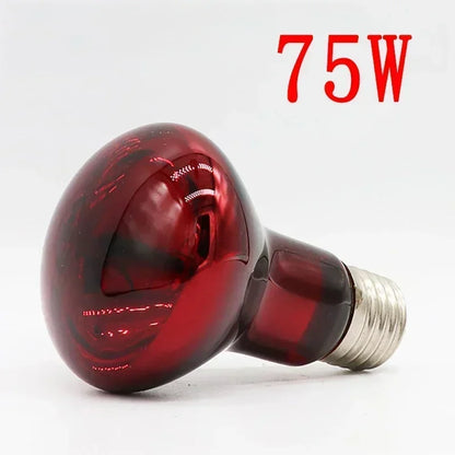 3er-Set Infrarot-Heizlampen E27 (25W–100W) – Wärmelampe für Geflügel, Reptilien & Amphibien
