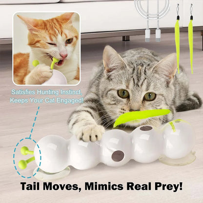 Interaktives Katzen-Spielzeug „Raupe“ – USB-Aufladung, Bewegungssensor, mit Saugnapf & Schwanz