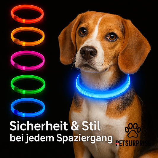 LED-Hundehalsband, USB wiederaufladbar – 3 Leuchtmodi